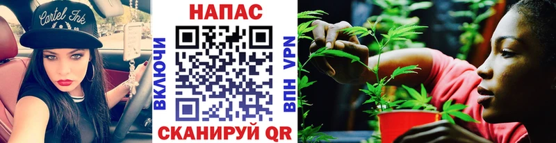 купить   Адыгейск  Марихуана Bruce Banner 